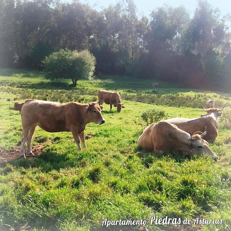 Апартаменти Piedras De Asturias Пьєдрас-Бланкас Екстер'єр фото